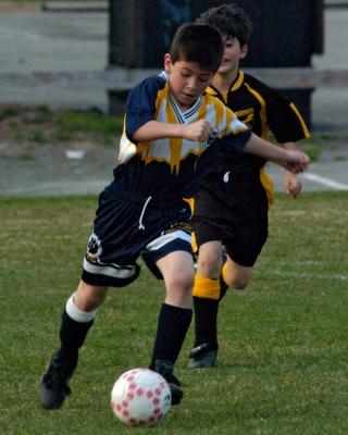 u17/peqsports/medium/42429909.PantherPaws042005360.jpg