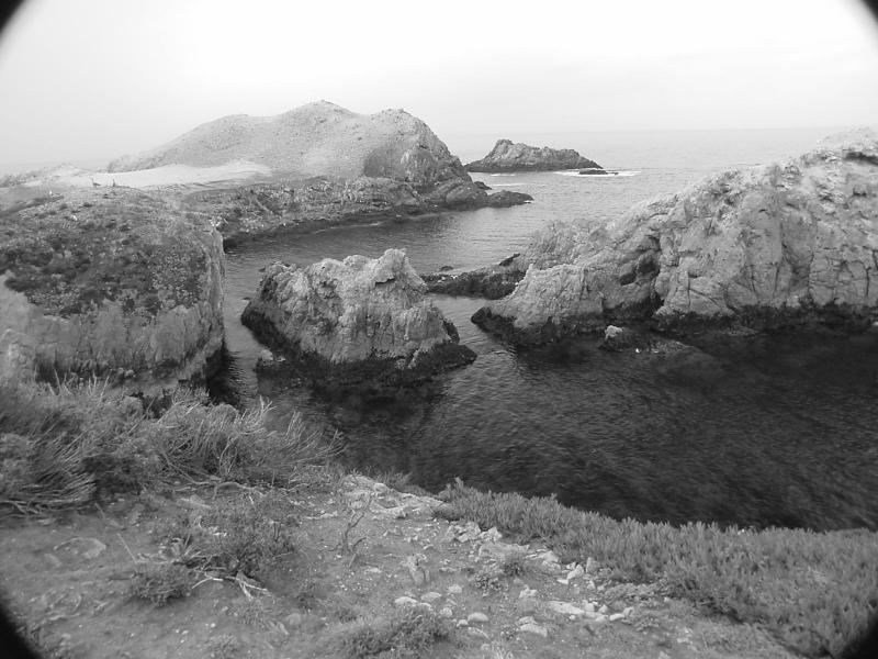 ca244.jpg