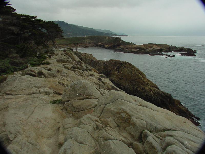 ca271.jpg