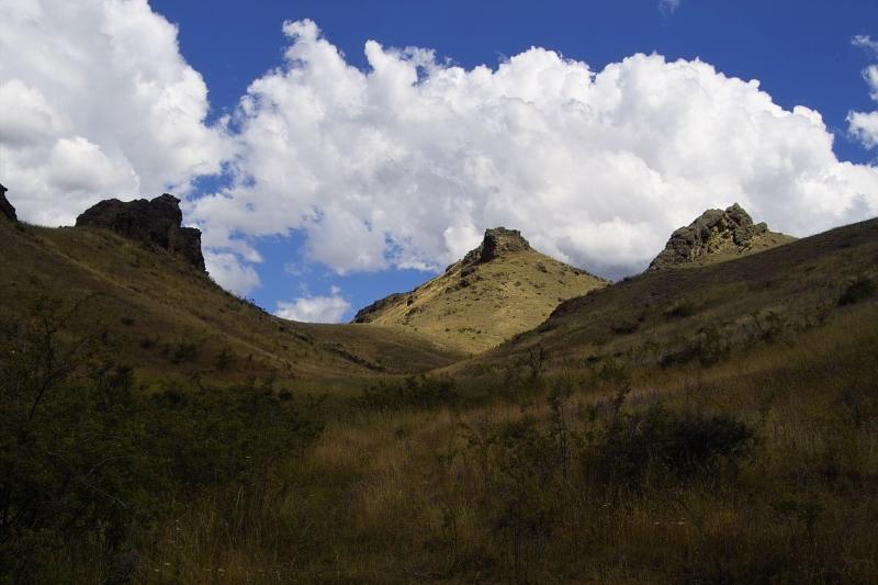IMG01132.jpg