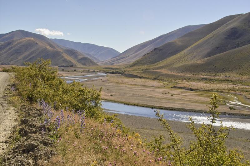 IMG01210.jpg