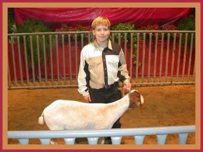 January 27-29, 2005   Hays County Livestock Exposition