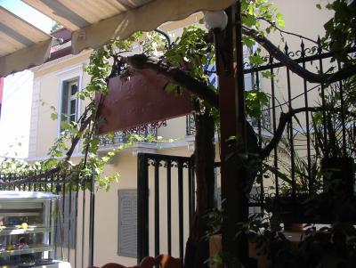 Taverna with grapevine and fence