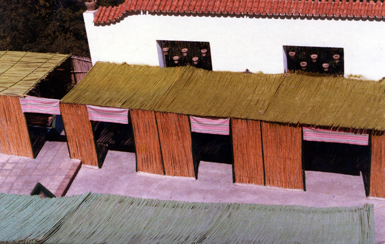 toits portugais