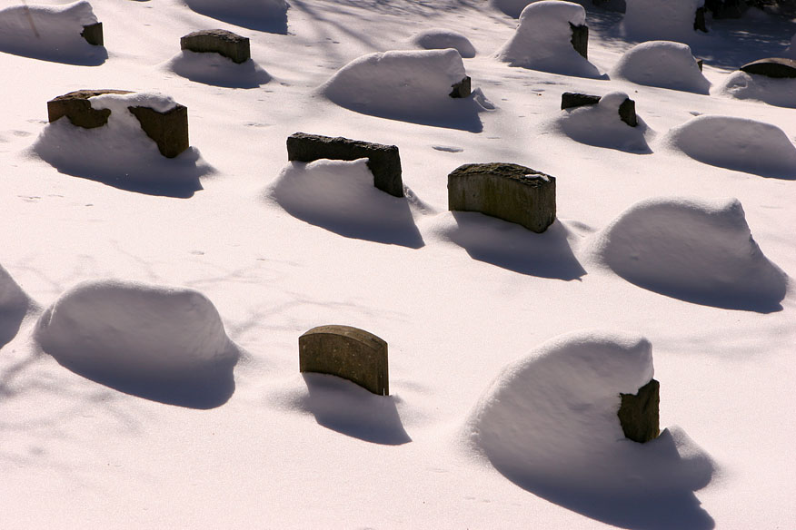 2005-01-31~ Snowy Gravestones