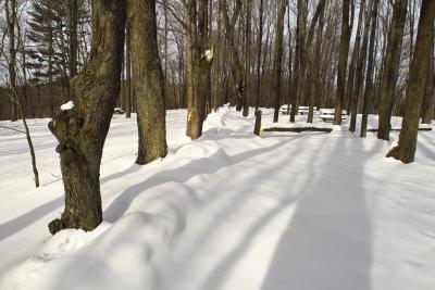 u17/pspader/medium/39157431.IMG07909.jpg