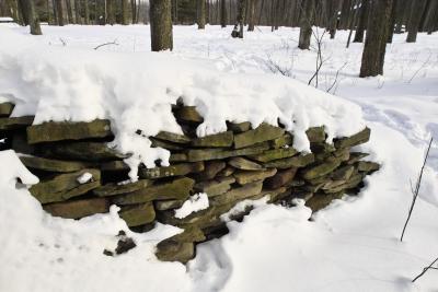 IMG07946.jpg