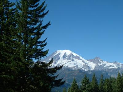 u17/ptank/medium/5792971.MtRainier116.jpg