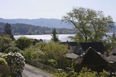 View05-4-19.jpg