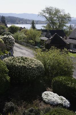 View05-4-20.jpg