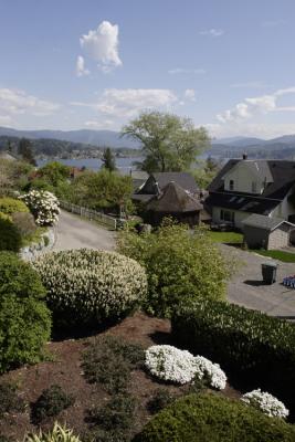 View05-4-22 pm.jpg