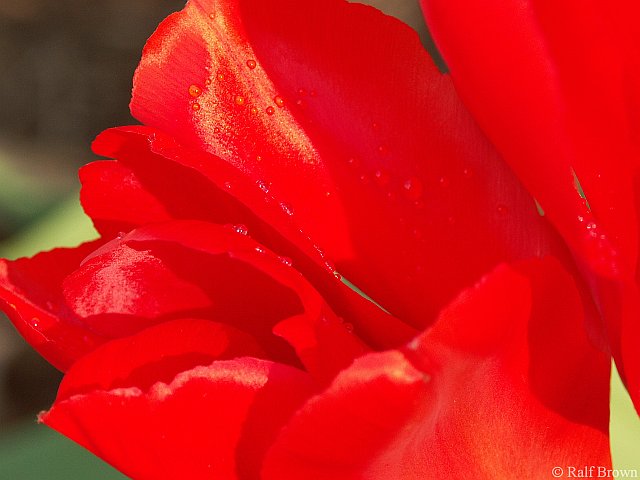 After the Rain