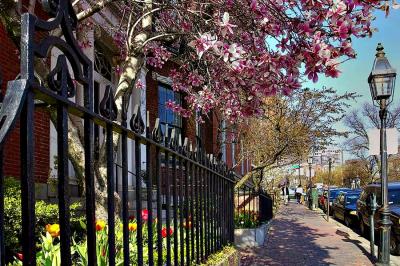 April-in-Boston