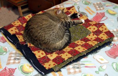 TobyQuilt.jpg