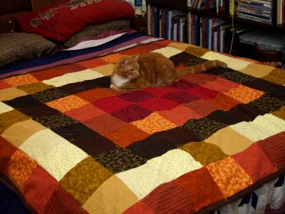 Simon-quilt.jpg