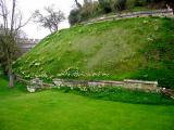 Daffodils along the castle moat