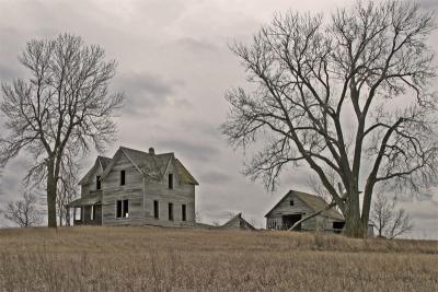 Family Farm 2005