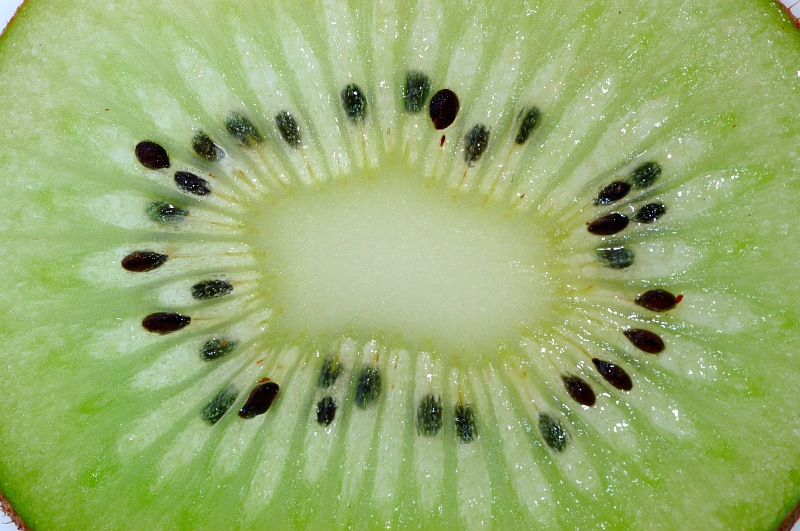 thin Kiwi slice.jpg