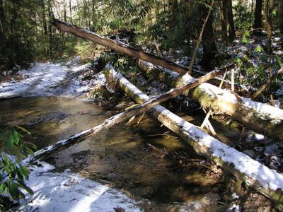 JPG CS Log Crossing P1258272.jpg