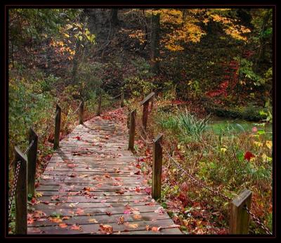 Boardwalk Trail.jpg