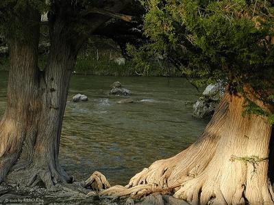 Flowing Along The River
