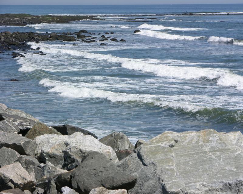 DSCN0249.jpg