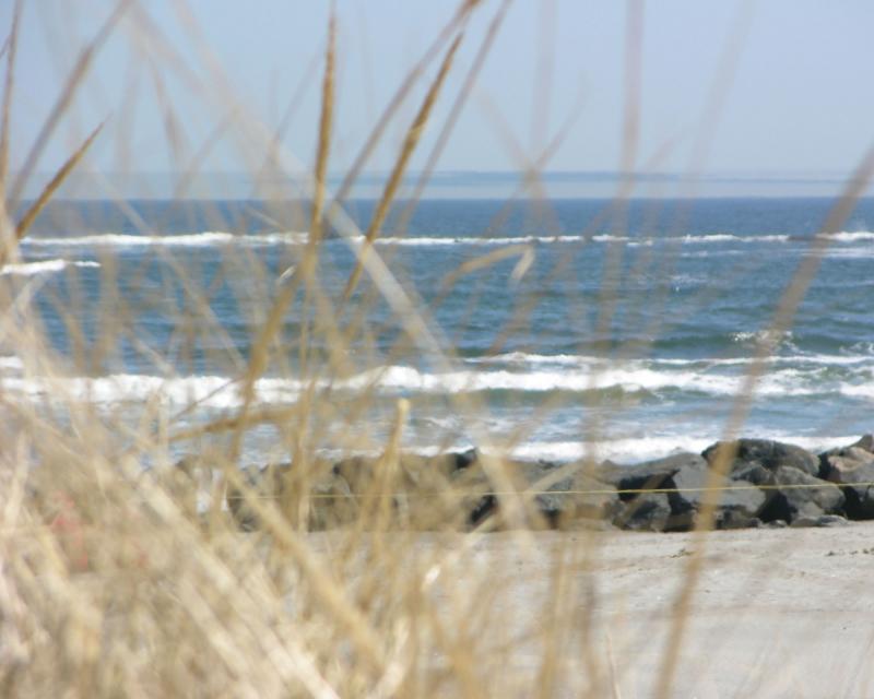 DSCN0270.jpg