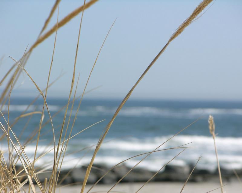 Hampton Beach April 2005