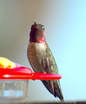 DSC_00081.jpg
