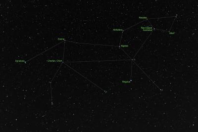 u17/rmaruzzi/medium/42461811.Leo_labeled.jpg