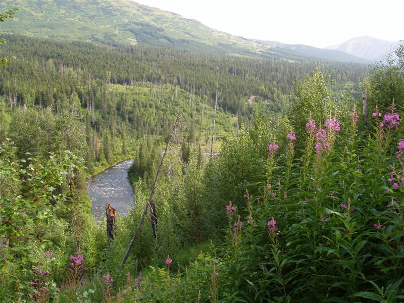 Mile 7_Caribou Burn