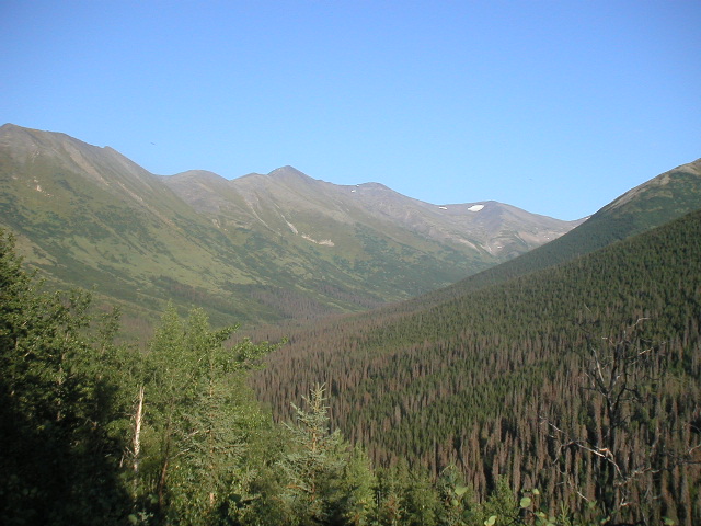 Mile 95_Resurrection Valley From Palmer Cr Road