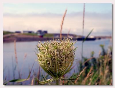 Margaree Harbour, Cabot Trail