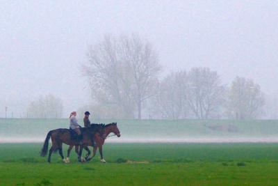 Riding in front of sea fog