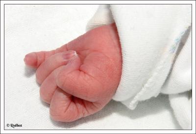 My new grandson born today 23.4.2005