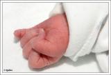 My new grandson born today 23.4.2005