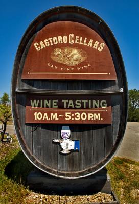Castoro Cellars and lizard