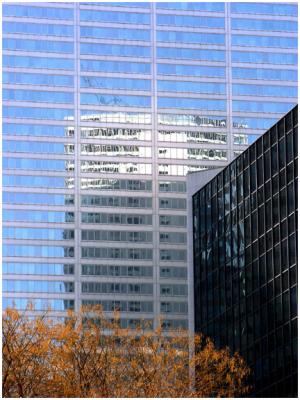 Building Reflection