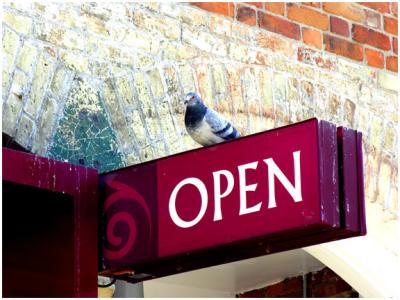 Open For Business