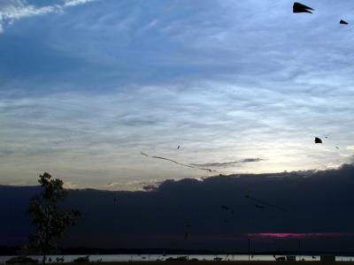 Go Fly A Kite !