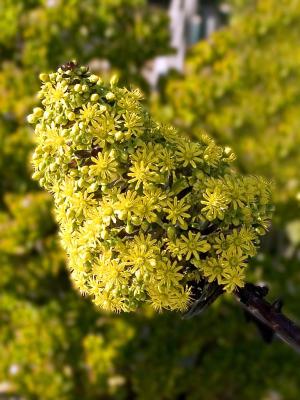 January 29: Signs of Spring