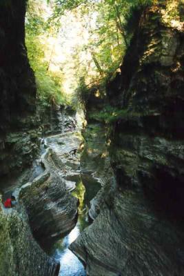 watkins_glen3.jpg