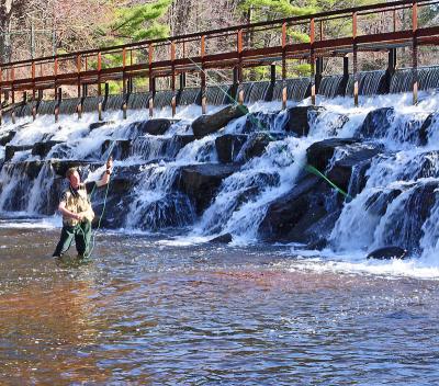 fly_fishing