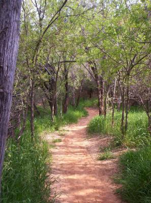 u17/sadie04/medium/42255652.canyonpath.jpg