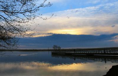 Stillwaters At Dawn