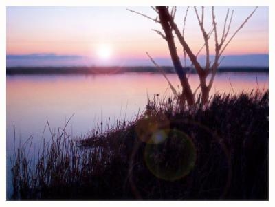 Misty Morning Sunrise