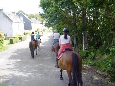queues et cheval