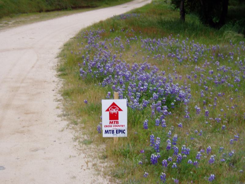 MTB Course
