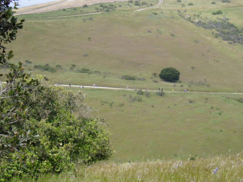 View of MTB cross country course