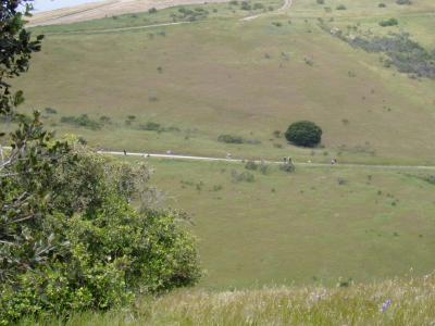 View of MTB cross country course